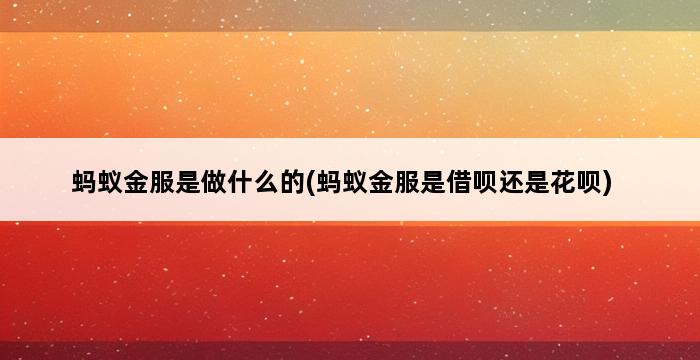 蚂蚁金服是做什么的(蚂蚁金服是借呗还是花呗) 