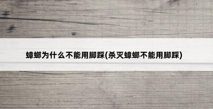 蟑螂为什么不能用脚踩(杀灭蟑螂不能用脚踩) 