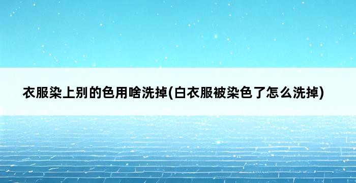 衣服染上别的色用啥洗掉(白衣服被染色了怎么洗掉) 