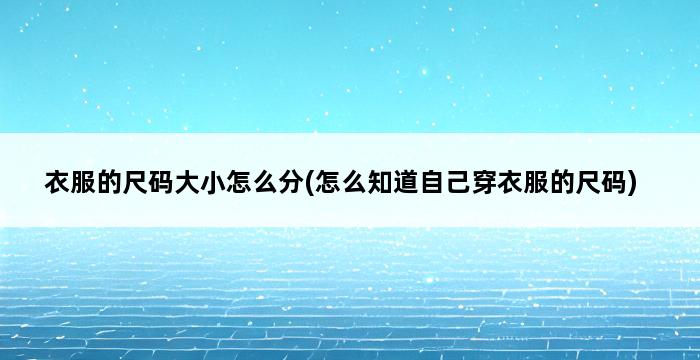 衣服的尺码大小怎么分(怎么知道自己穿衣服的尺码) 