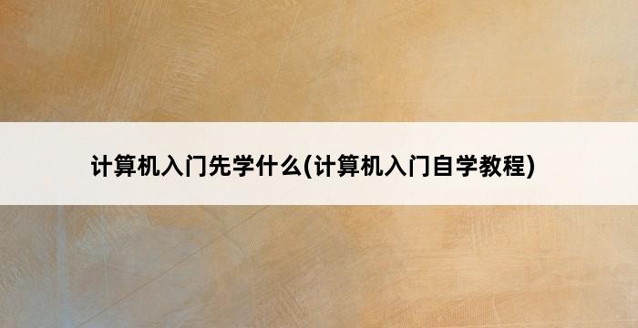 计算机入门先学什么(计算机入门自学教程) 