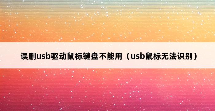 误删usb驱动鼠标键盘不能用（usb鼠标无法识别） 