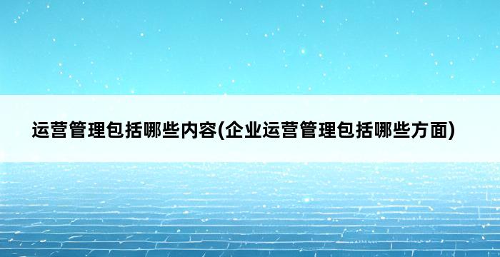 运营管理包括哪些内容(企业运营管理包括哪些方面) 