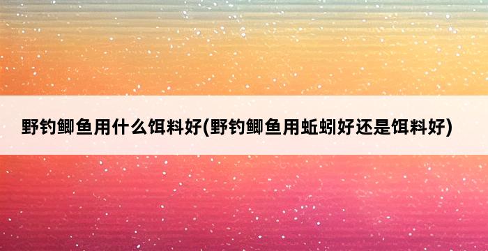 野钓鲫鱼用什么饵料好(野钓鲫鱼用蚯蚓好还是饵料好) 