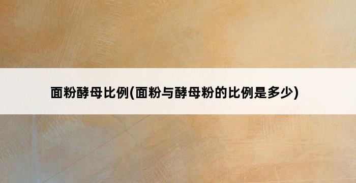 面粉酵母比例(面粉与酵母粉的比例是多少) 