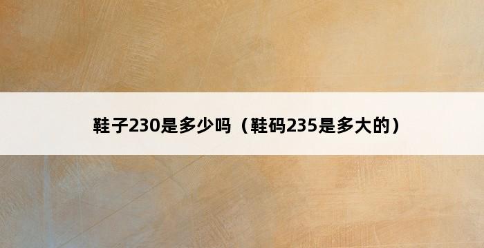 鞋子230是多少吗（鞋码235是多大的） 