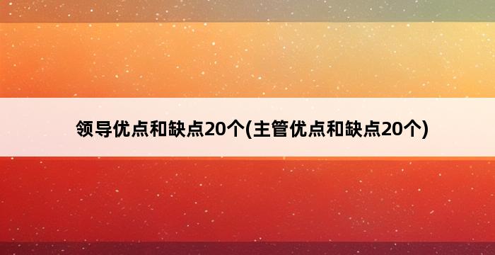 领导优点和缺点20个(主管优点和缺点20个) 