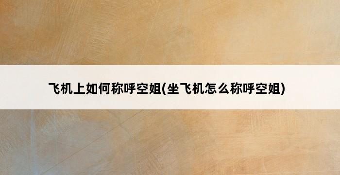 飞机上如何称呼空姐(坐飞机怎么称呼空姐) 