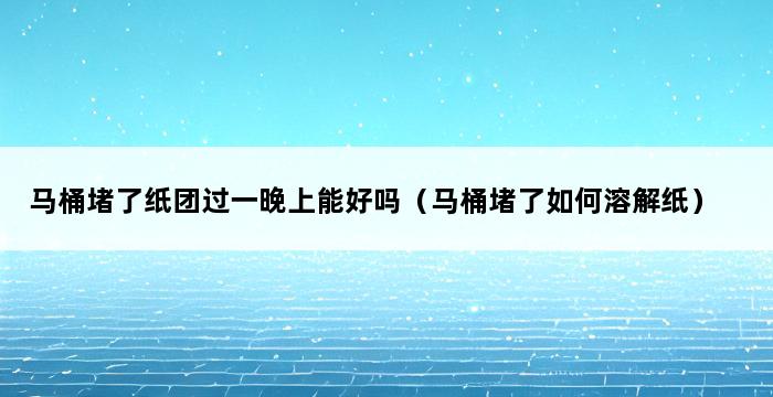 马桶堵了纸团过一晚上能好吗（马桶堵了如何溶解纸） 