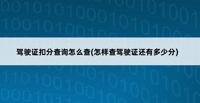 驾驶证扣分查询怎么查(怎样查驾驶证还有多少分) 