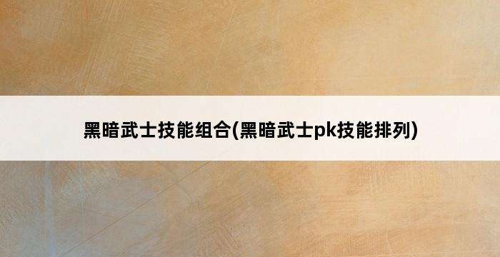 黑暗武士技能组合(黑暗武士pk技能排列) 